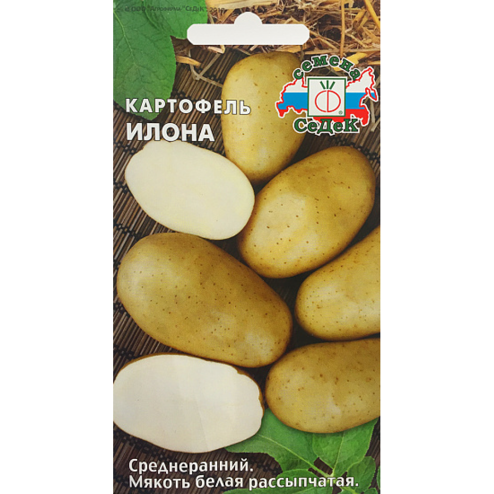 Колетте картофель характеристика отзывы. Семенной картофель суперэлита и элита. Картофель семенной Колетте. Картофель семенной СЕДЕК.