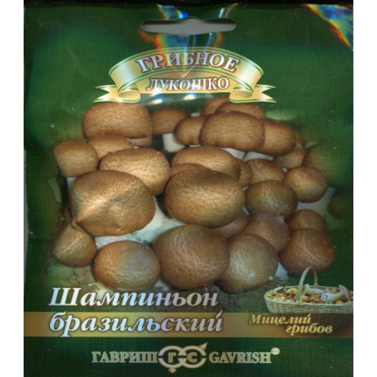 Мицелий грибов Шампиньон бразильский